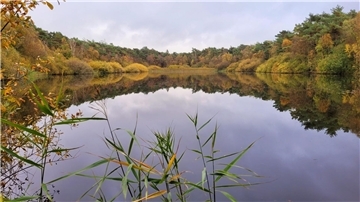 Das Finkenmoor im Wernerwald in Cuxhaven-Sahlenburg bietet nicht nur perfekte Fotomotive, es liegt auch nur ein paar Meter vom Wattenmeer entfernt.