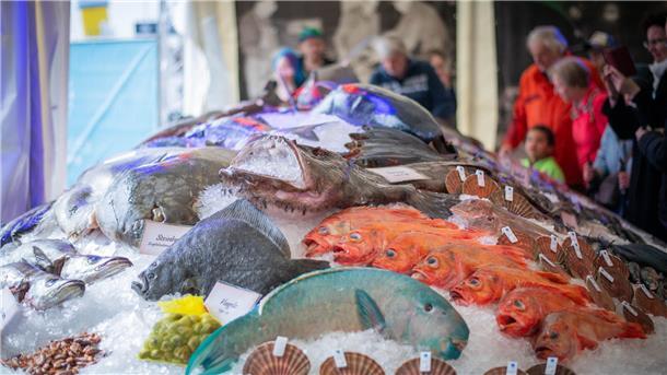 Hi, Fisch! Bilder der Fischparty im Fischereihafen Bremerhaven (mit Sonntag) Das Fischbett.