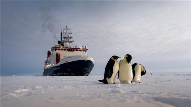 Das Forschungsschiff „Polarstern“, hier im Weddellmeer, ist in die Jahre gekommen. Die Ausschreibung für das Nachfolgeschiff „Polarstern II“ muss jetzt neu anlaufen.