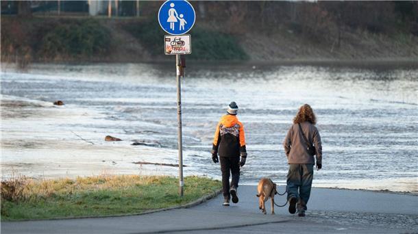 Das Hochwasser der Elbe tritt in der Flutrinne zwischen den Dresdner Stadtteilen Kaditz und Mickten über das Ufer.