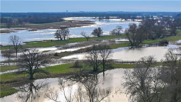 Das Hochwasser vom deutsch-polnischen Grenzfluss Oder hat schon teilweise Wiesen vor dem Deich überflutet.