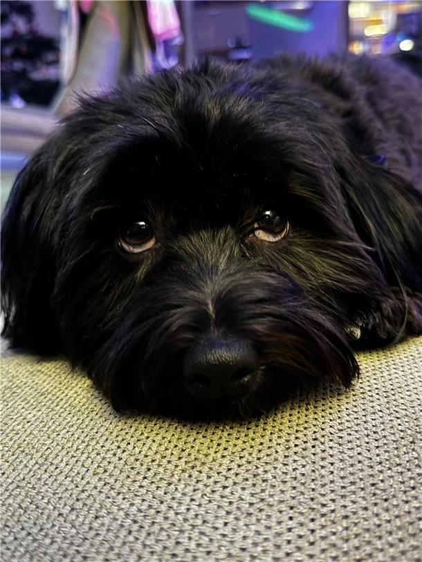 Das ist Henry. Er ist 2 Jahre und kommt aus Bremerhaven.  Nichts geht ohne seine...