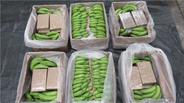 Das Kokain wurde in einem Container mit Bananen aus Südamerika versteckt.