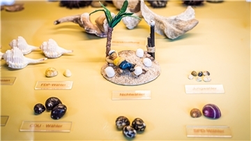 Schaubild mit bunten Muscheln