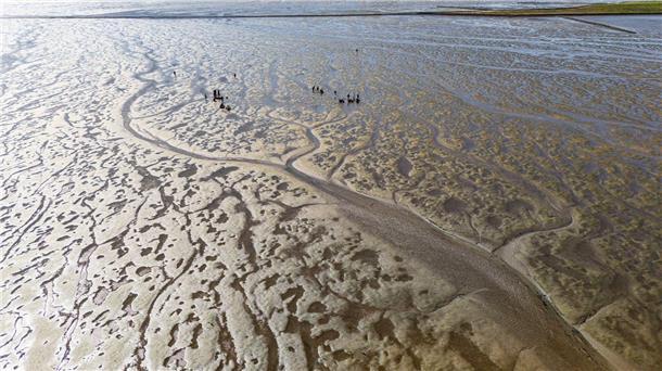 Klimawandel verändert Wattenmeer im Rekordtempo Das Meerwasser im Watt erwärmt sich besonders schnell. (Archivbild)