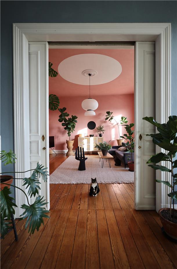Blick in eine Altbauwohnung mit Katze