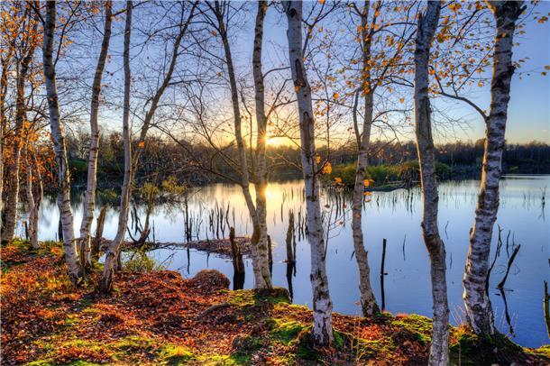 Das November-Motiv aus dem neuen Bremervörder Kalender - fotografiert von Rolf Borgardt.
