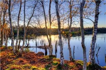 Das November-Motiv aus dem neuen Bremervörder Kalender - fotografiert von Rolf Borgardt.