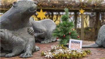 Das NZ-Weihnachtsbäumchen war wieder in Bremerhaven und im Landkreis Cuxhaven unterwegs. Was ist im Hintergrund zu sehen? Ratet mit und gewinnt tolle Preise.