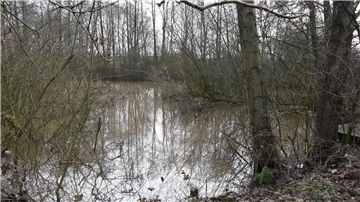 Das Regenrückhaltebecken in der Witten Masch in Selsingen ist zugewachsen. 