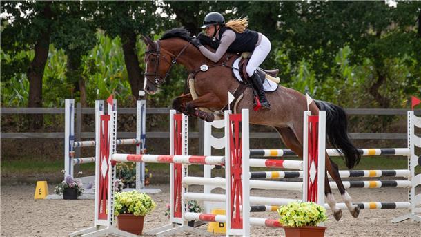 Mary Poppins und die Elfen verzaubern Zuschauer in Elmlohe Das Reitturnier des RV Elmlohe-Marschkamp war ein voller Erfolg. 1.200 Starter bei bestem Wetter - auch aus dem Umland kommen immer mehr Reiter, wenn „Klein Elmlohe" ruft.