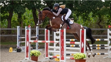 Das Reitturnier des RV Elmlohe-Marschkamp war ein voller Erfolg. 1.200 Starter bei bestem Wetter - auch aus dem Umland kommen immer mehr Reiter, wenn „Klein Elmlohe" ruft.