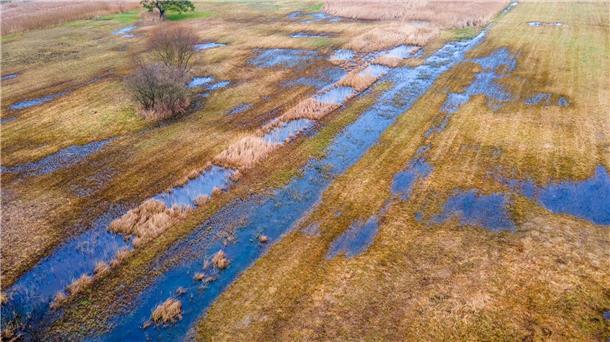 Das rund 36 Hektar große wiedervernässte Hangquellmoor Binsenberg. Trockengelegte Moore stoßen Treibhausgas aus. Ihre Wiedervernässung gilt als wichtige Klimaschutz-Maßnahme.