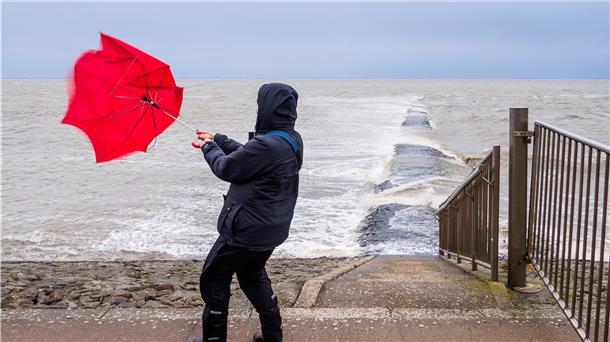 Das Siegerfoto zeigt ein allzubekanntes Bild: Ein Regenschirm, der dem starken Wind der Küste nicht standhalten kann.
