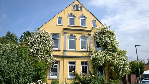 Ein gelb gestrichener Altbau an dem mehrere Wildrosen hochranken