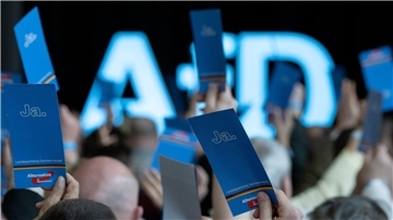 Das Umfragehoch für die AfD und das gleichzeitige Zustimmungstief für die Ampel-Regierung haben in Berlin eine Diskussion über die Ursachen ausgelöst.