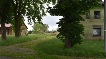Zwei Häuser und mehrere Bäume
