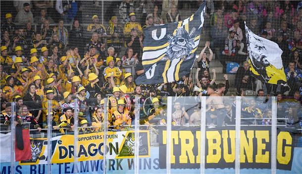 Das vierte CHL-Spiel der Fischtown Pinguins gegen die Rouen Dragons in der Eisar...