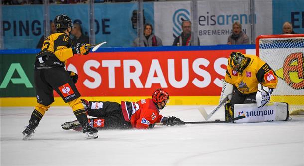 Das vierte CHL-Spiel der Fischtown Pinguins gegen die Rouen Dragons in der Eisar...