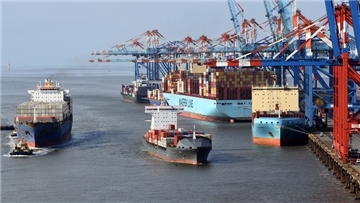 Das war kein gutes Jahr für die Häfen: An den Containerterminals ging der Umschlag um 8,1 Prozent auf 4,6 Millionen Standardcontainer zurück.