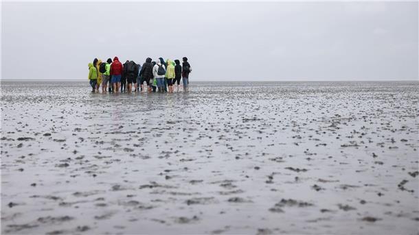 Klimawandel verändert Wattenmeer im Rekordtempo Das Watt bietet Lebensraum für zahlreiche Tiere. (Archivbild)