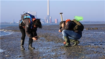 Das Wrack im Watt vor Tossens ist eine beliebte Anlaufstelle für geführte Wattwanderungen. Nur noch die Metallteile sind übrig. Man munkelt, es gebe hier einen Schatz.