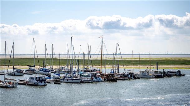 Ladenetz am Wasser: So soll das Wattenmeer elektrisch werden Das Ziel der Initiatoren ist eine Kette von Ladesäulen entlang der niedersächsischen Nordseeküste. (Archivbild)