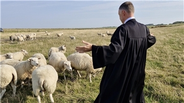 "Deichschäfer gesucht": Mit schönen Bildern - hier mit Pastor Stephan Büttner - unterstreicht der Kirchenkreis Wesermünde seine Suche nach einem Pastor oder einer Pastorin für die Wurster Küste.