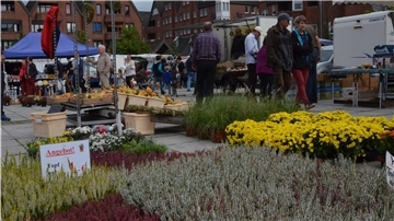 Markt