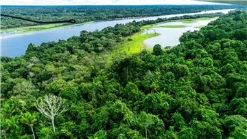 Der Amazonas-Regenwald gilt als CO2-Speicher und hat eine wichtige Funktion im internationalen Kampf gegen den Klimawandel.