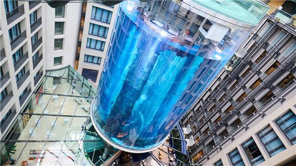 Riesenaquarium am Berliner Dom geplatzt: zwei Verletzte Der AquaDom im Sea Life ist leck geschlagen. Wasser strömte dabei bis auf die Straße.