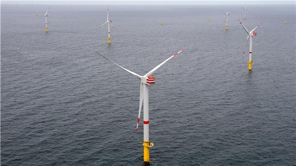 Der Ausbau der Windenergie auf See ist im vergangenen Jahr noch einmal vorangekommen, steht aber nun vor einer Pause.