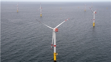 Der Ausbau der Windenergie auf See ist im vergangenen Jahr noch einmal vorangekommen, steht aber nun vor einer Pause.