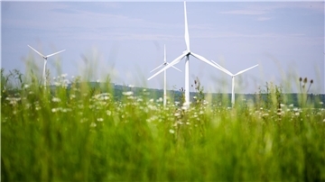 Der Ausbau der Windenergie in Niedersachsen ruft auch Kupferdiebe auf den Plan. (Symbolbild)