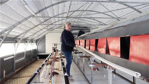 Geflügelpest-Ausbruch ist für Landwirt eine Katastrophe Der Ausbruch der Vogelgrippe in seinem Betrieb ist für den Landwirt eine Katastrophe.