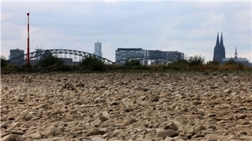 Der ausgetrocknete Uferbereich des Rheins bei Köln im vergangenen Sommer.