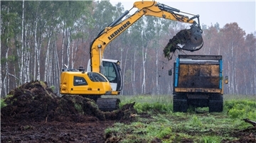 Der Bagger trägt im Göldenitzer Moor die obere Bodenschicht samt Pflanzen ab, um die spätere Ernte des Torfs vorzubereiten.