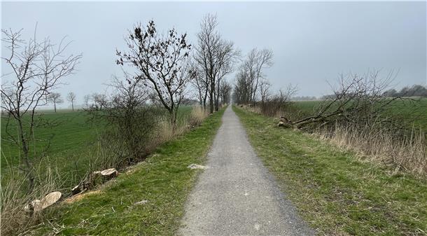 Eschen, Bahndamm