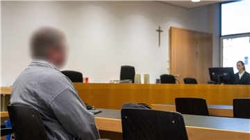 Der Baumkontrolleur soll laut Anklage den Pilzbefall in einem Ahornbaum übersehen haben.