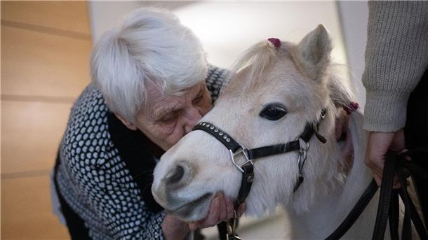 Der Besuch der Ponys im Altenheim bringt Abwechslung für die Bewohnerinnen und Bewohner.