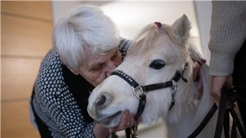 Der Besuch der Ponys im Altenheim bringt Abwechslung für die Bewohnerinnen und Bewohner.