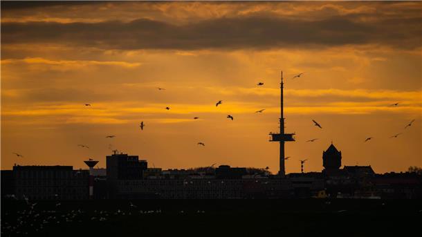 Der Blick auf den Lunedeich präsentiert den Wasserturm in Geestemünde und den Fernsehturm Schiffdorf. Im dunklen Vordergrund lassen sich Gebäude des AWI erahnen.