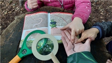 Der Boden im Wald hat viele Bewohner. Die Mädchen und Jungen im Waldkindergarten Zeven sind täglich draußen in der Natur.