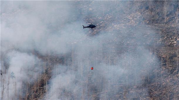 Feuer am Brocken - Einsatz könnte noch Tage dauern Der Brand am Brocken im Harz ist noch nicht unter Kontrolle.