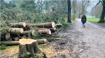 Der BUND lädt zu einem Spaziergang durch den Speckenbütteler Park.