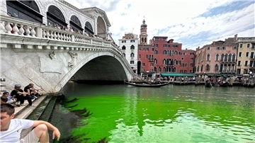 Der Canale Grande ist auf einmal grün.