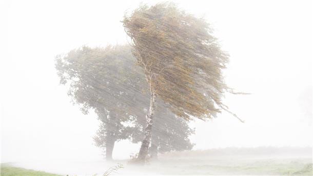 Wetterdienst warnt vor Böen mit über 100 Stundenkilometern Der Deutsche Wetterdienst warnt vor schweren Sturmböen in Niedersachsen und Bremen. Es sind Windgeschwindigkeiten von über 100 Kilometern pro Stunde, möglich. (Archivfoto)
