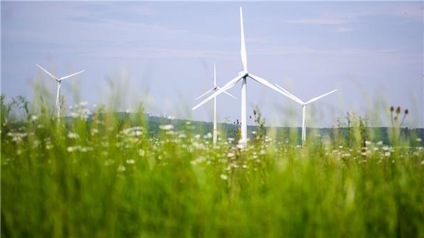 DGB fordert „Zukunftsplan für Norddeutschland“ Der DGB fordert einen Zukunftsplan für Industrie und Klimaschutz im Norden. (Archivbild)