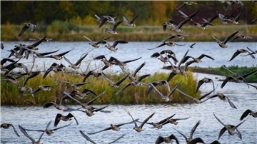 Der Drömling zwischen den Bundesländern Sachsen-Anhalt und Niedersachsen ist ein Unesco-Biosphärenreservat.