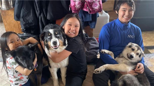Hund läuft 240 Kilometer über Meereis, kehrt munter zurück Der einjährige australische Schäferhund Nanuq (M) ist wieder mit seinem Rudel vereint.